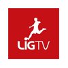 Lig TV 2013 Paketleri Fiyatları 